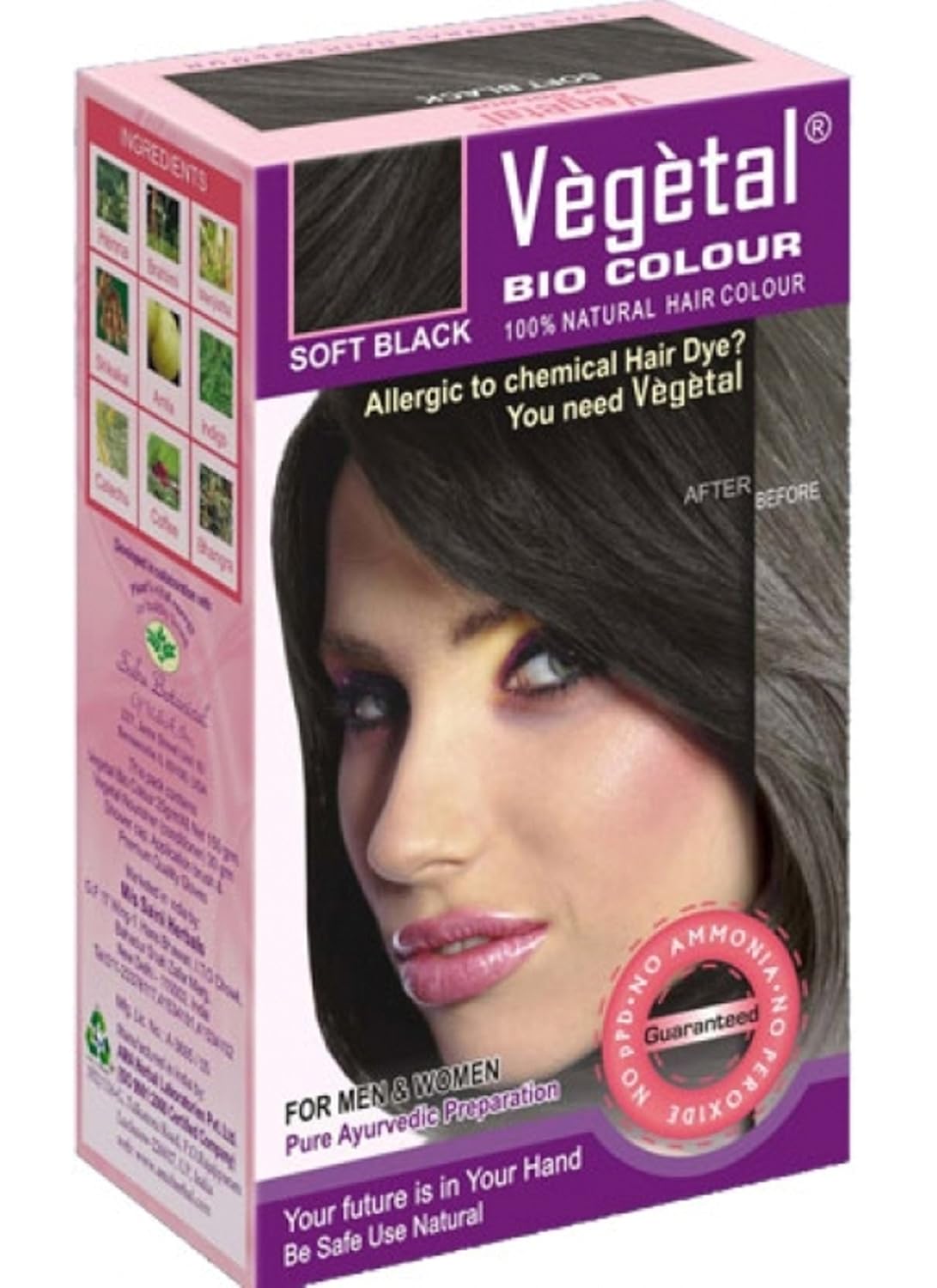 Buy Vegetal Bio Hair Colour Soft Black 150g Online At Low Prices