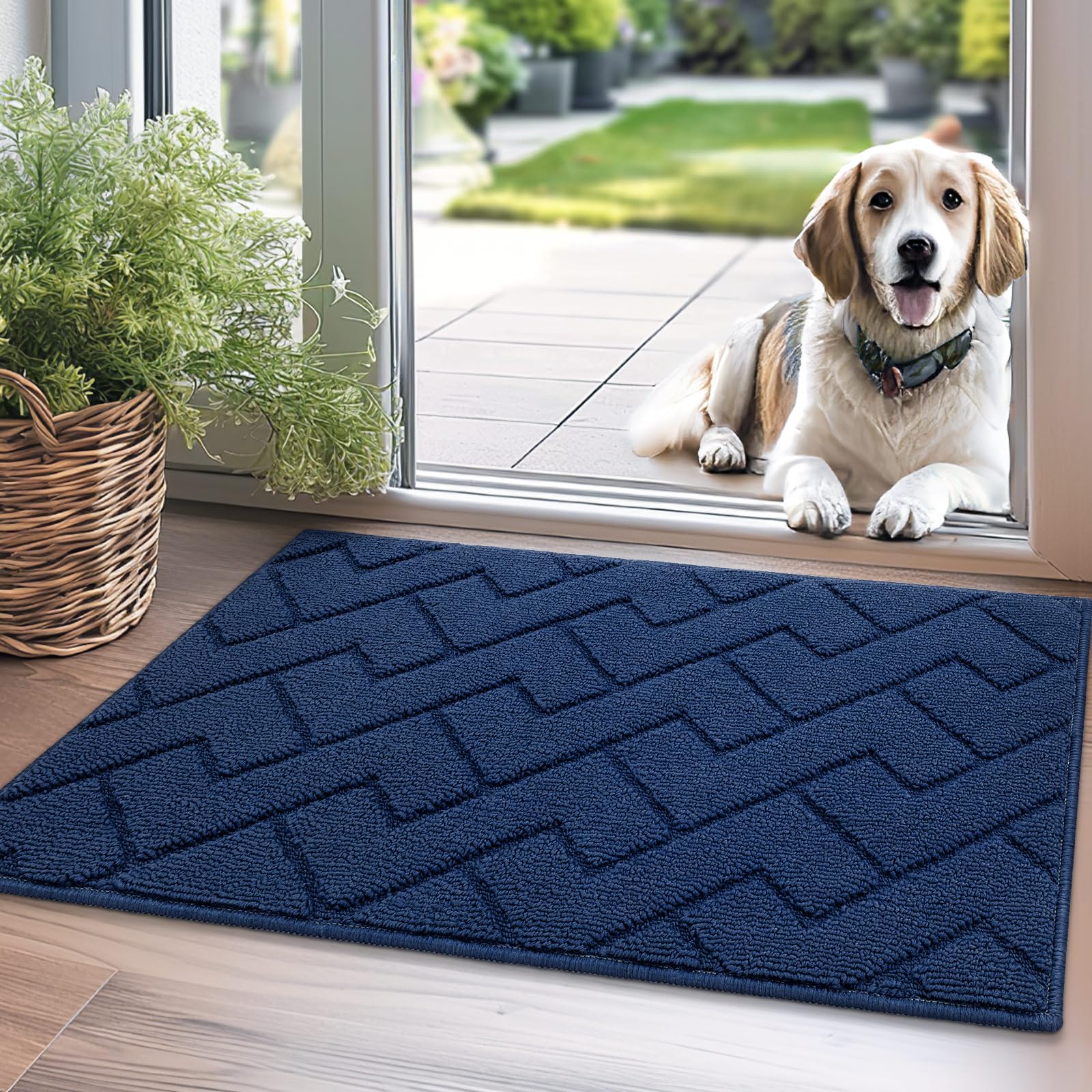 Biscpro Door Mats Indoor,Dirt Trapper Mat Absorbent Non-Slip Low Profile Doormat for Entrance,Inside,Kitchen,Front Door Mat Washable for Pets and Dogs—50x80cm,Blue — image 1