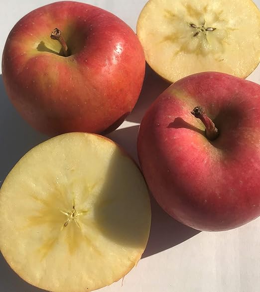 Amazon 長野県産 生産農家直送 蜜入り系 幻のりんご こうとく 訳あり自家用ランク 約1 8 2ｋｇ 箱 6 14玉入り こうとく りんご 通販