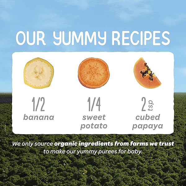 HAPPY BABY ORGANICS STAGE 2 BABY FOOD POUCHES, GLUTEN FREE, VEGAN & HEALTHY SNACK, CLEARLY CRAFTED FRUIT & VEGGIE PUREE, BANANAS, SWEET POTATOES & PAPAYAS, 4 OUNCES (PACK OF 16)