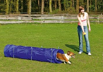 鉄 できない 望む ドイツ 犬 グッズ Willylonghorn Com
