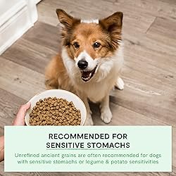 Open Farm, Ancient Grains Dry Dog