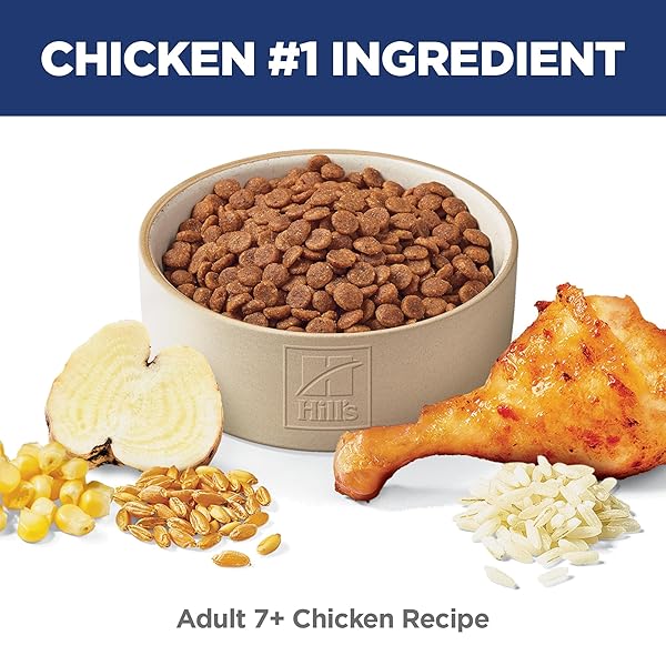 HILL’S SCIENCE DIET ADULT 7+, SENIOR ADULT 7+ PREMIUM NUTRITION, DRY CAT FOOD, CHICKEN RECIPE, 4 LB BAG