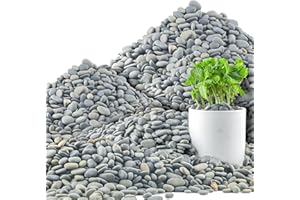 Quibbay 45 LB Mexican Beach Pebbles, 0.4-1 Inch Natural Unpolished Bulk Rocks, Decorative River Rocks for Landscaping Garden Paving Plant, Rocks for Walkways and Outdoor Decorative Stone, Grey