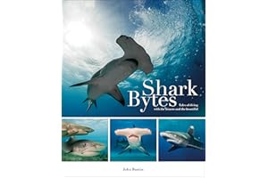 Shark Bytes: Tales of Diving with the Bizarre and the Beautiful