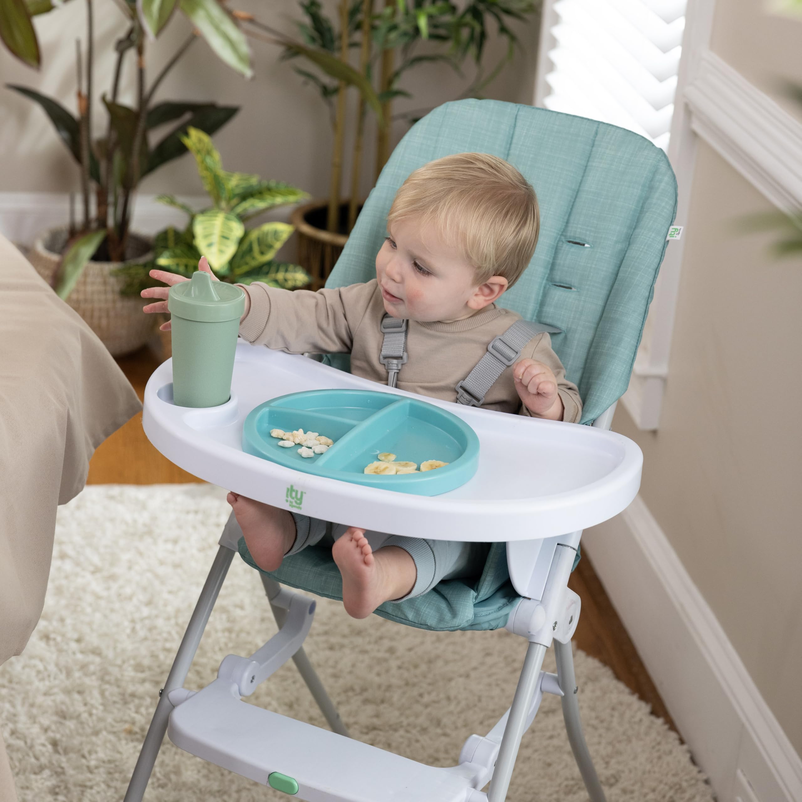 Ingenuity Sun Valley Compact Folding Baby High Chair, Food-Grade Safe Plate, 5-Point Harness, for Ages 6 Months and Up, Unisex - Teal