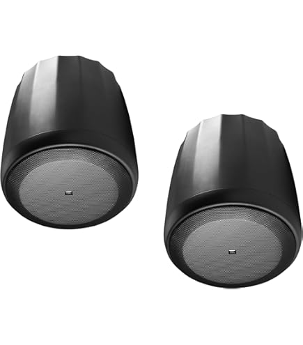 Amazon.com: JBL Professional C65P/T Compact Full-Range Hanging