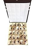 Realistic & Natural,Mix Colour Eyeballs Set of 25