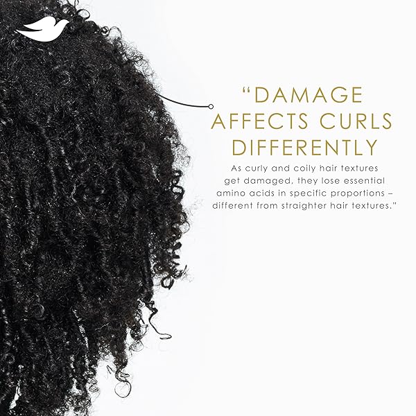 DOVE HAIR AMINO CURL REPAIR 10IN1 CREAM MASK FOR CURLY, COILY HAIR WITH BIO PROTEIN CARE TECHNOLOGY AND AMINO + JOJOBA OIL 9.2 FL OZ.