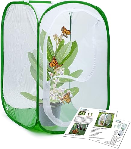 Aazon.co: Qingo Collapsible Insect And Butterfly Kit Garden Growing Habitat Cage Terrariu Pop