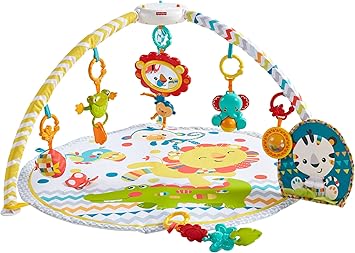 fisher price deluxe musical play gym