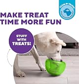 Outward Hound Snoop Interactive Treat Dispensing Dog Toy Large Green view 3