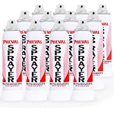 Preval Power Unit, 12 Pack - Replacement Handheld Aerosol Spray Refill 0268 | Replacement Power Unit for Preval Sprayers - Portable Aerosol Spray for Professional Paint Spraying, DIY &amp; Touch-Ups