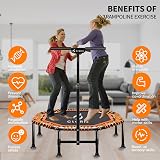 CLORIS 48 Inch Foldable Fitness Trampoline with Adjustable Handle 400/450 lbs view 2
