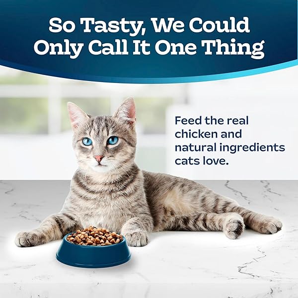 BLUE BUFFALO BLUE TASTEFULS NATURAL ADULT INDOOR CAT CHICKEN & BROWN RICE RECIPE FOOD FOR CATS 10 LB