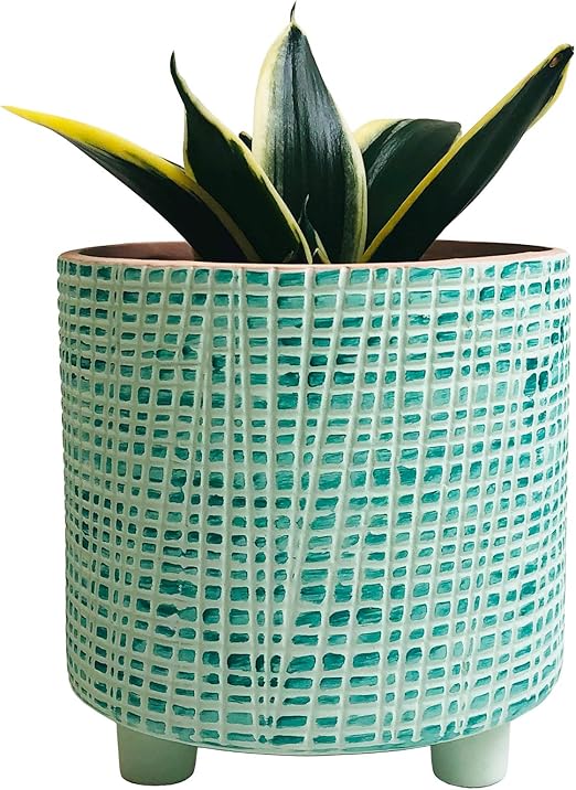 indoor ceramic planters with drainage