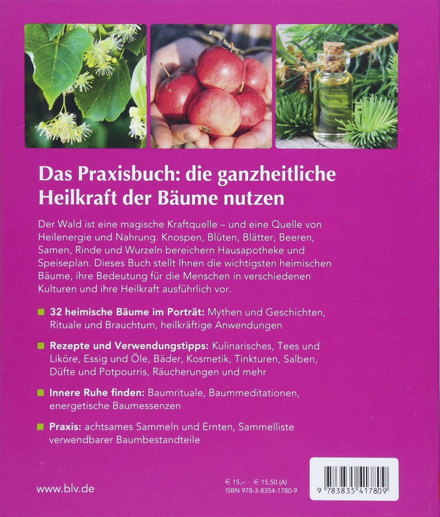 Kraftquelle Baum Rezepte Und Rituale Fur Geist Korper Amazon De Huber Andrea Bucher