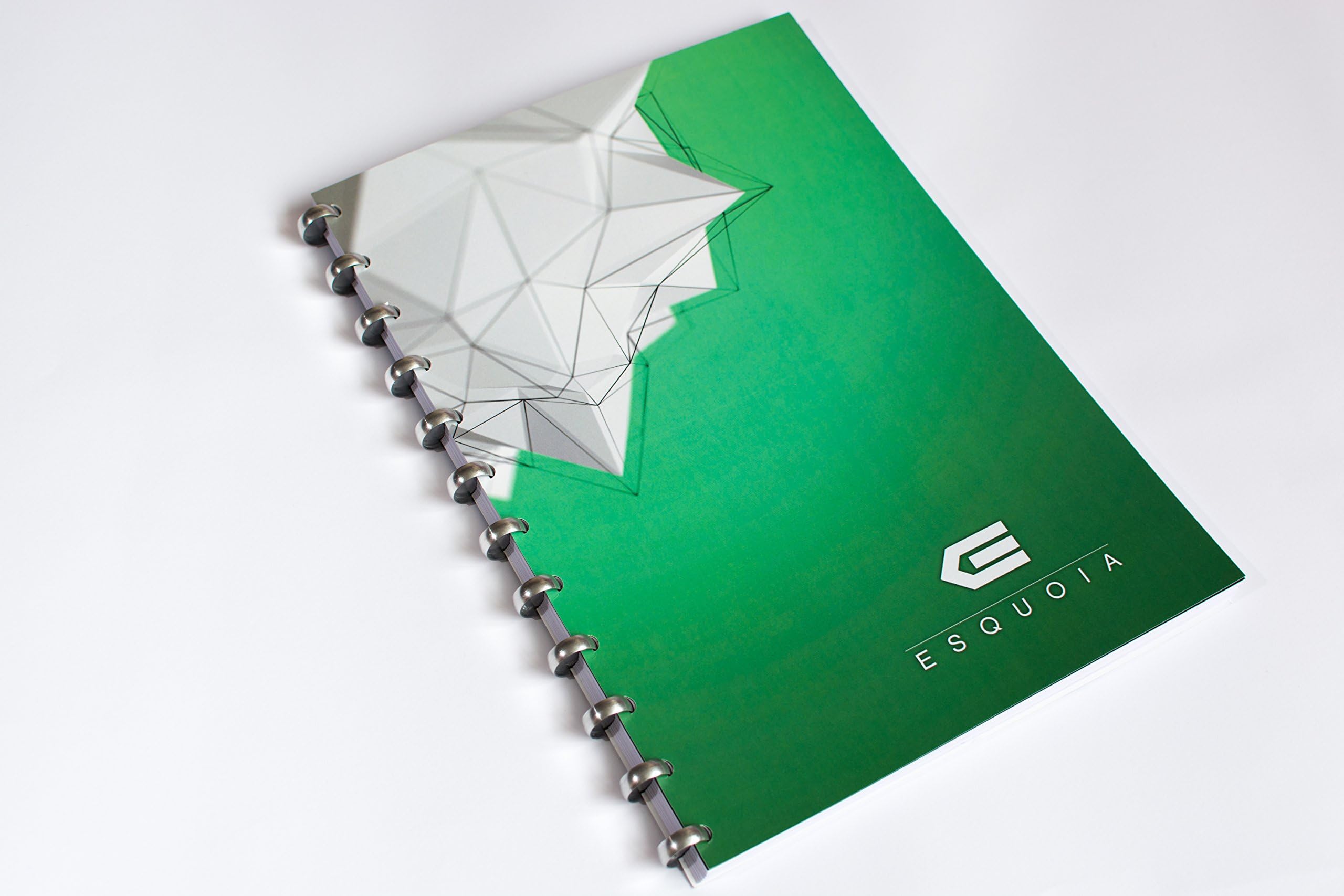 ESQUOIA ALUMINIUM A4 (BLANK) Reusable dry erase notebook (Green)