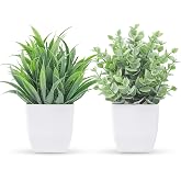 Der Rose 2 Pack Fake Plants Small Plants for Bathroom Office Decor | Mini cute faux plants, table desk home laundry room entryway decor, bathroom classroom decor, maintenance-free