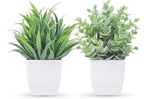 Der Rose 2 Packs Small Fake Plants Mini Artificial Potted Plants for Table Desk Home Bathroom Office Decor Indoor
