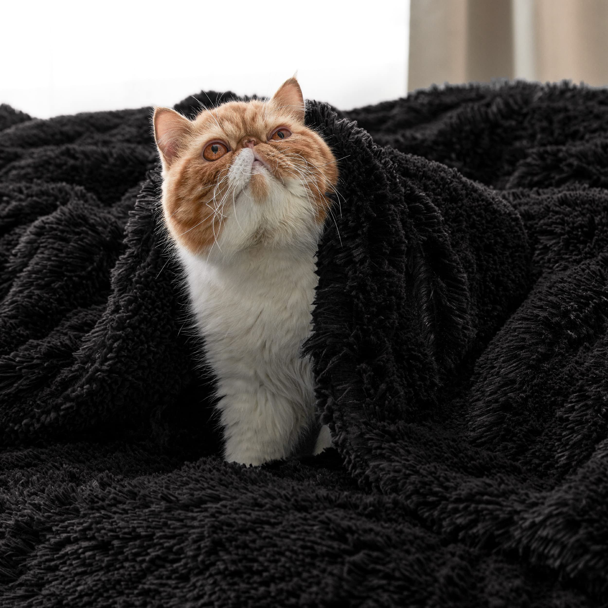 Bedsure Fuzzy Sherpa Faux Fur Twin Blanket Black Cozy Gifts for Women Men, Soft Fleece Plush Warm Minky Thick Blanket Twin Size for Bed, Couch, Room Decor Dorm Essentials Black Decor Gifts, 60x80