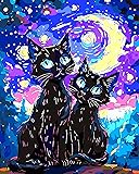 Yunnuo Paint by Numbers Kit for Adults Beginner,Two