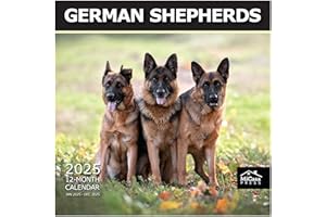 MICASA PRESS MICASA German Shepherds 2025 Wall Calendar 12 Month | 12" x 24" Open | Thick & Sturdy Paper | Giftable German Shepherd Calendar 2025 | Dog Calendar 2025