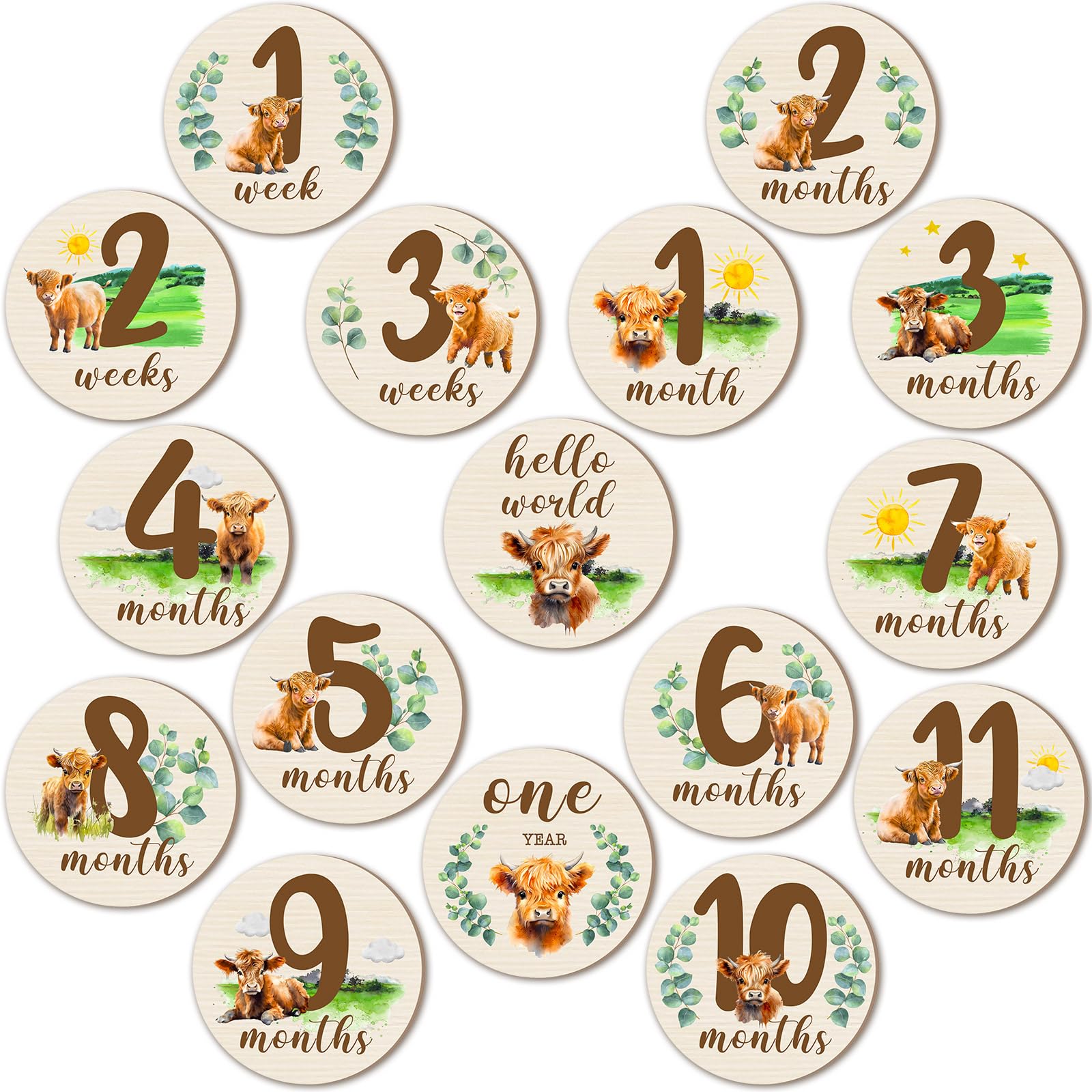 Mua 16 Pieces Wooden Baby Monthly Milestone Cards Baby Monthly ...