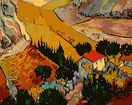 van go paint by numbers amazon