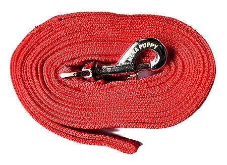 Mera Puppy Dog's Long Nylon Leash for Regular to Medium Dogs (Red, 10ft)