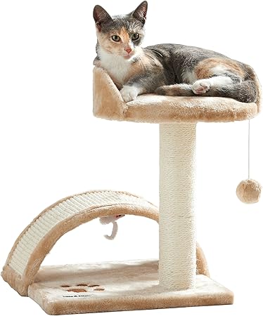 milo and misty cat scratcher