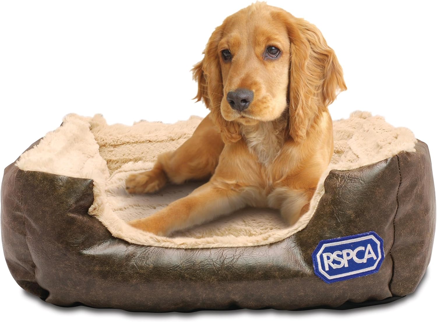 rspca dog bed the range
