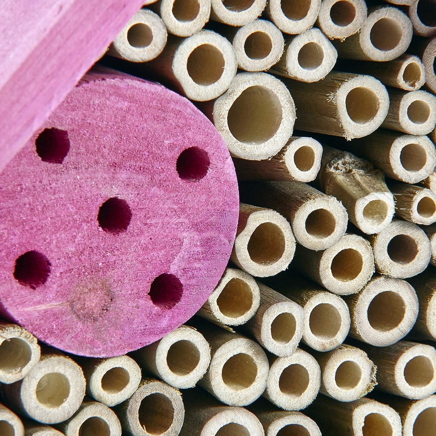 Pink Insect Hotel Home House Bees Bugs and Insects Nesting Box - Image 5