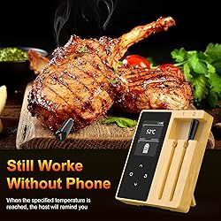 Wireless Meat Thermometer with 2 Ultra-Thin