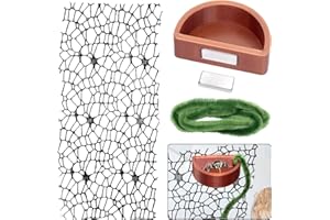 CYNAILLI Jumping Spider Hide Accessories, Feeding Dish Magnetic, Webbed Moss Ribbon, Jumping Spider Enclosure Climbing and Feeding Platforms