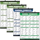 Palace Learning 4 Pack - Cable Machine Workout Posters Volume 1 &amp; 2 + Dumbbell Exercises + Barbell Exercises (LAMINATED WITH PLASTIC FRAME 18" x 24")