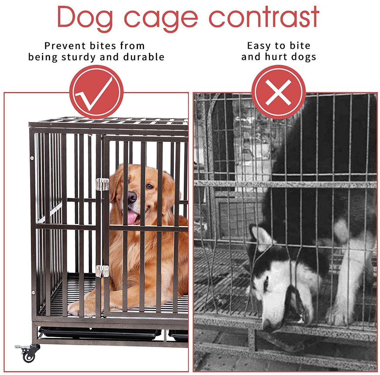 crate for two large dogs