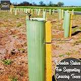 Homatz 10 Pack Wooden Garden Stakes 1.5m 5ft 32mm Thick Pressure Treated view 4
