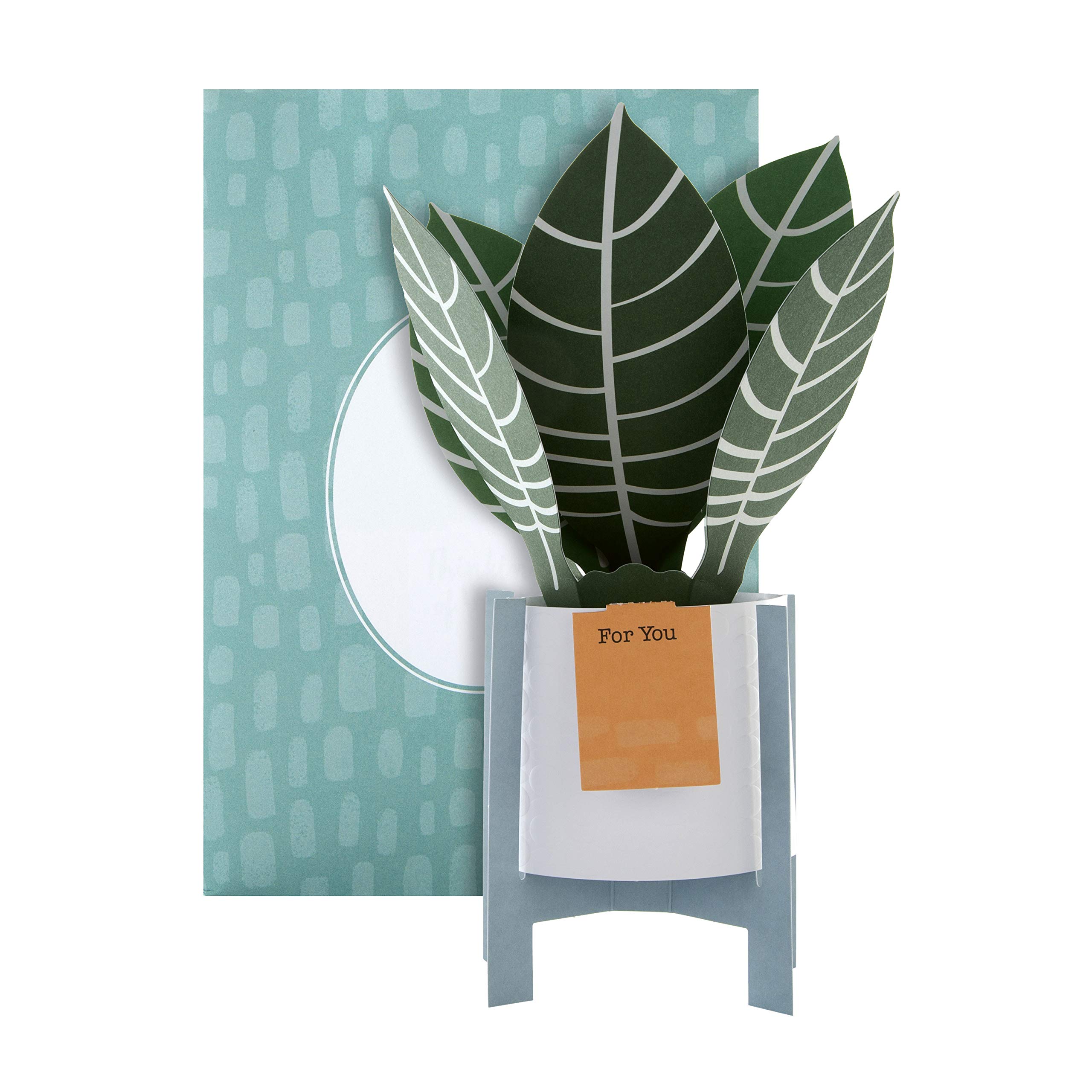 Hallmark Pop Up Card - Contemporary Zebra Plant Design