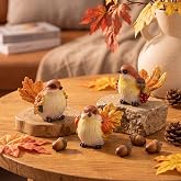 Novabright 3 Pcs Fall Bird Decoration Resin Fall Figurines Home Decoration | Autumn Table Centerpieces, Pumpkin Maple Leaf Birds, for Autumn Thanksgiving Harvest Office Home Kitchen Indoor Gift