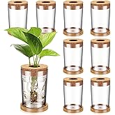 Baderke 9 Packs Propagation Vases for Plants Plastic Plant Propagation Station with Hole Lid and Bamboo Stand Growing in Water Hydroponic Home Office Table Decoration(Stripe Style)