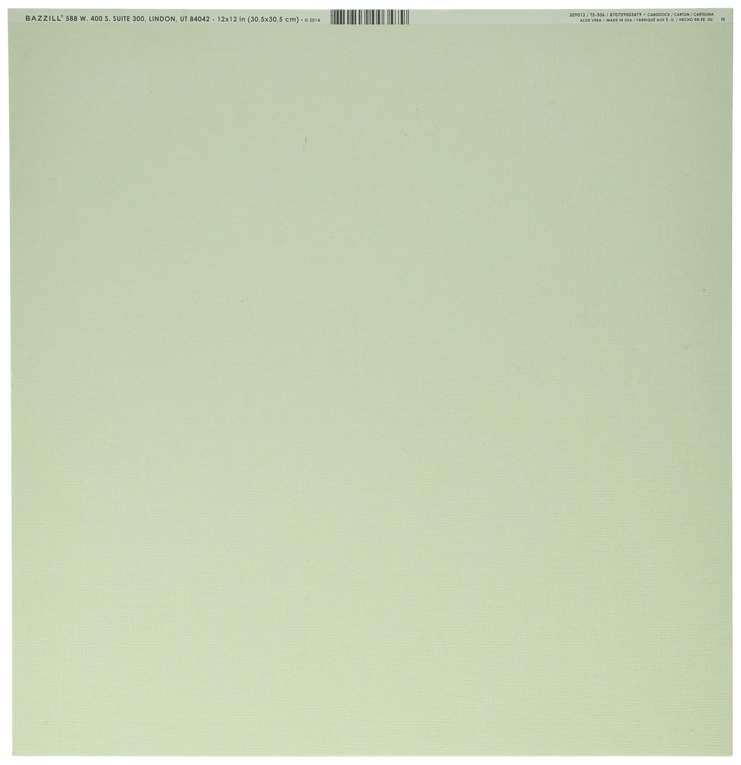 Bazzill Basics Paper 25 ScrapBooking Sheets Canvas Texture, Aloe Vera, Green