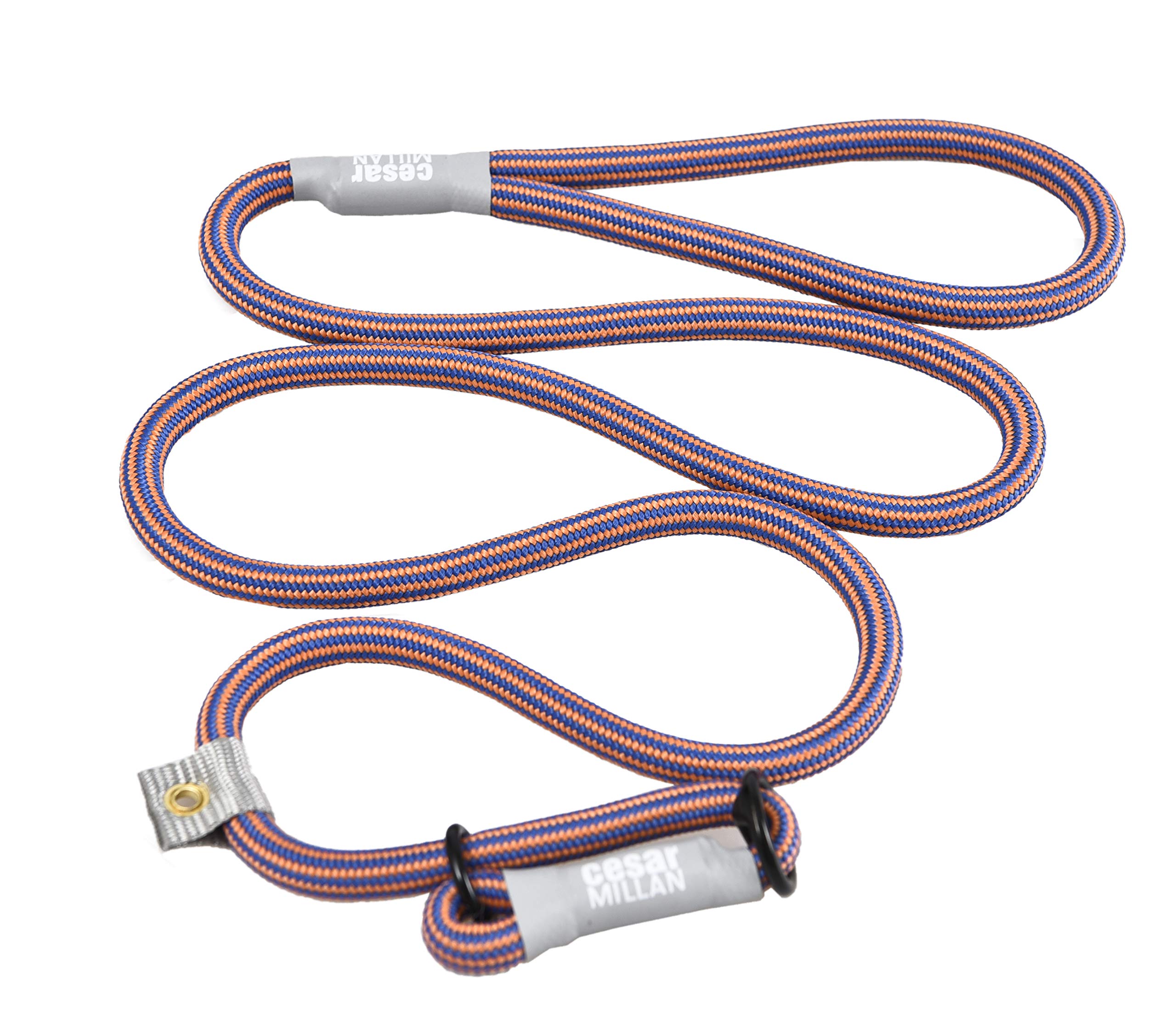 Cesar Millan Slip Lead Leash™ - Slip Collar Training Lead Gives You Greater Control and The Ability to Make Quick and Gentle Corrections (Regular, Blue/Orange) — image 1