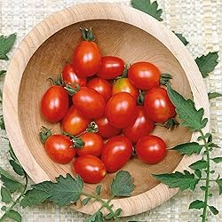 Eden Brothers Tomato Seeds - Principe Borghese