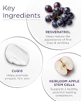 Andalou Naturals Resveratrol Q10 Night Repair Cream 50ml Anti Aging Wrinkle view 5