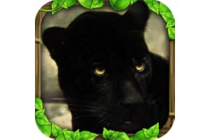 Panther Simulator