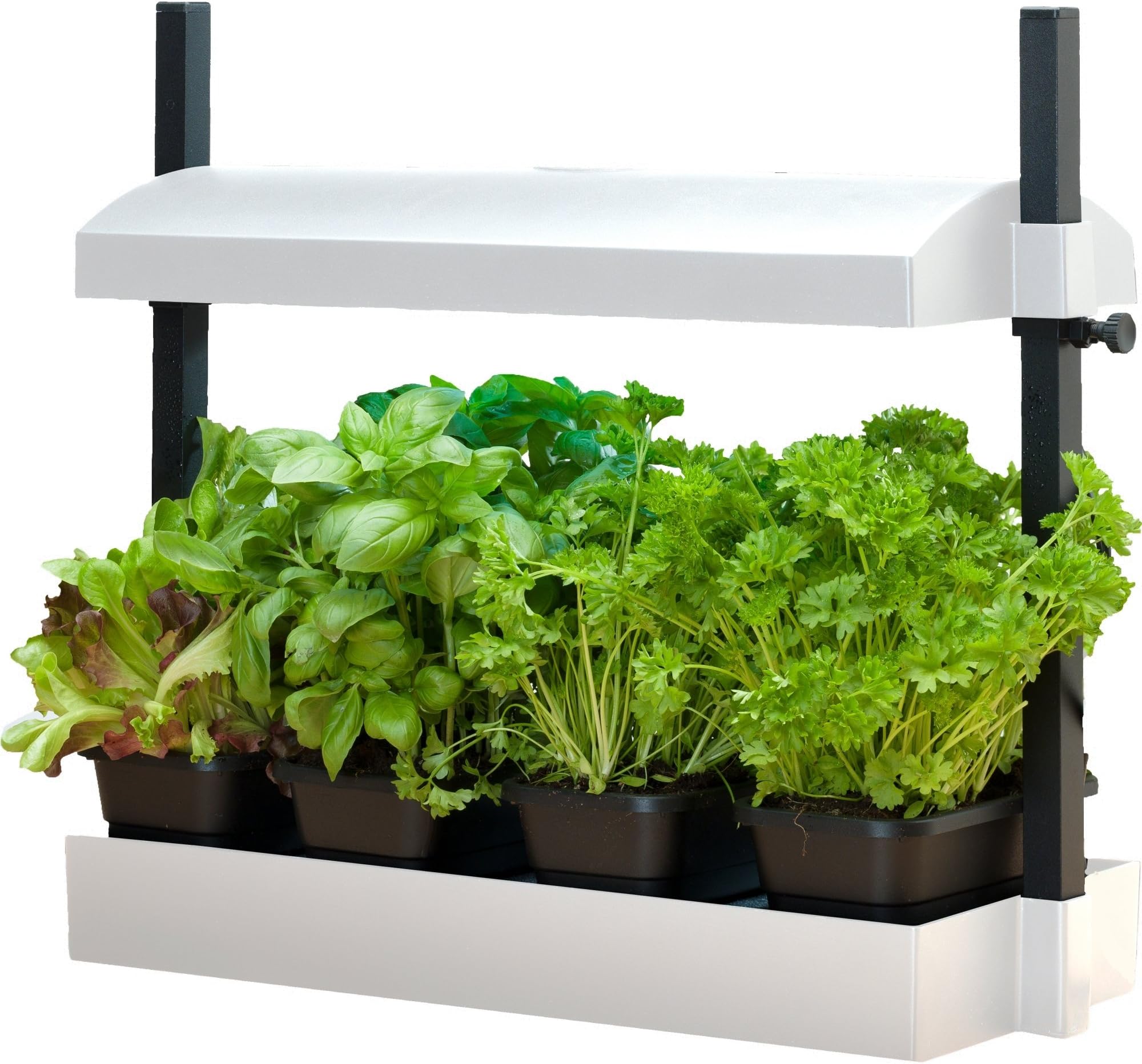 SunBlaster SL1600219 LED Indoor Micro Growlight Garden HomeGrowing Kit White
