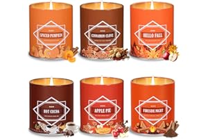 MOLENSUN Fall & Winter Candles Gift Set – 54oz (6×9oz) Soy Candles with Seasonal Scents: Cinnamon Clove, Spice Pumpkin, Hot Cocoa, Apple Pie, Hello Fall, Fireside Ember – Christmas, Holiday & Birthday Gifts