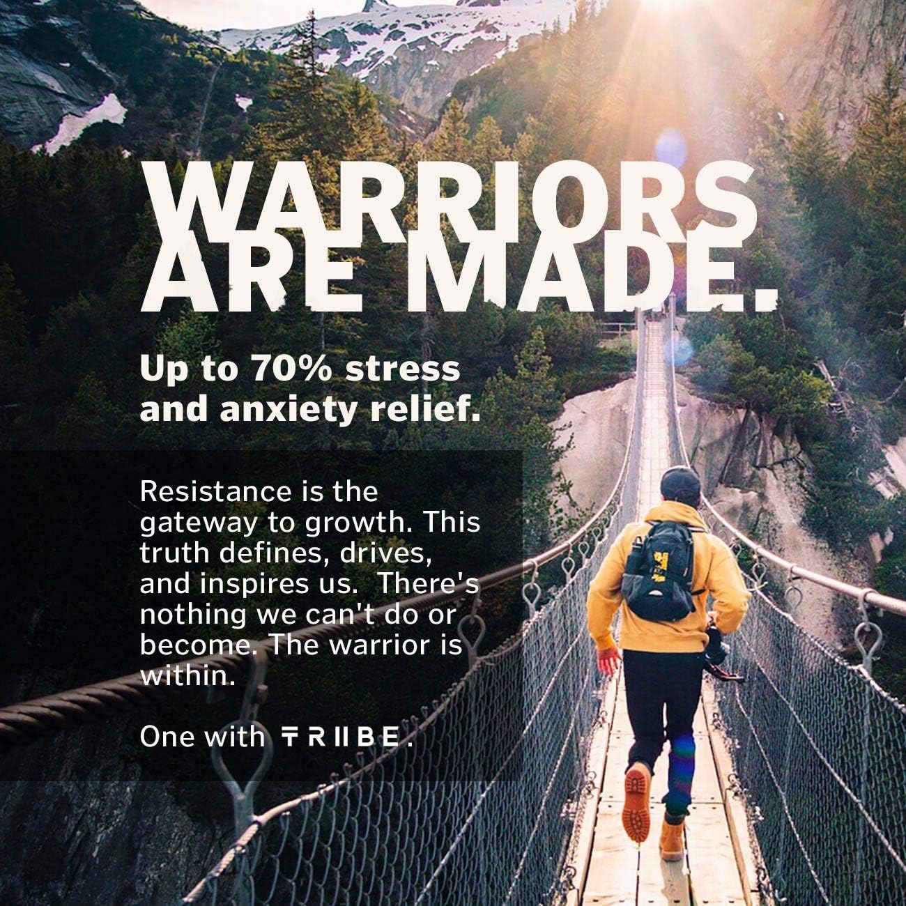 Vegan KSM-66 Ashwagandha Capsules - Pure Organic Root Extract, NO Additives - 5% Withanolides - 60 VCaps - Stress Relief Boost Immunity Adrenal Support Thyroid Support Cortisol Manager: Health & Personal Care