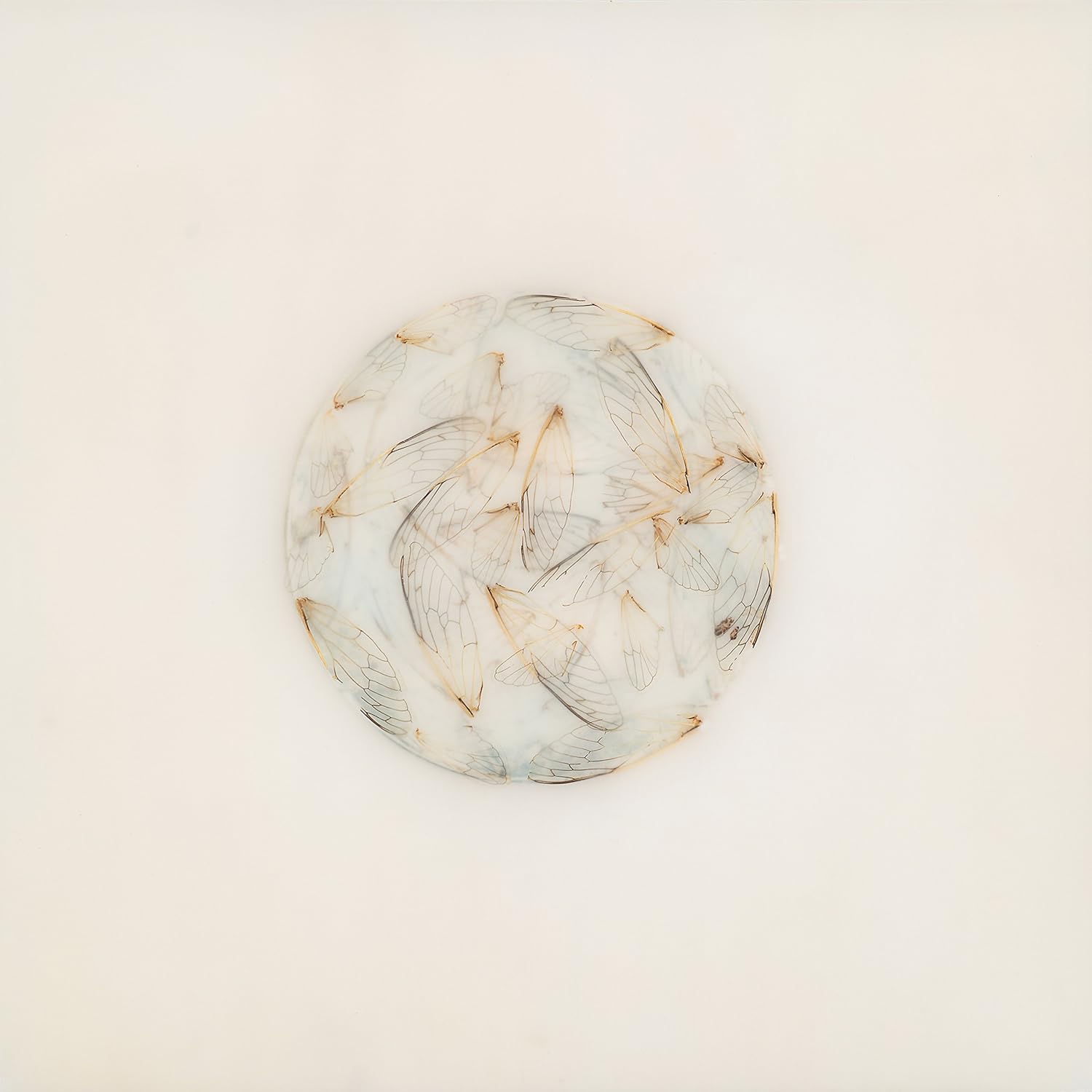 Off White ライナーノーツ 歌詞対訳のダウンロード コードつき Amazon Com Music